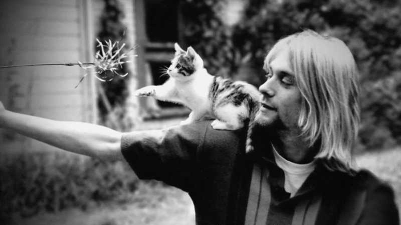 Kurt Cobain brinca com um gatinho no ombro, estendendo um graveto com penas para o animal alcançar